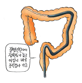 3_1.gif