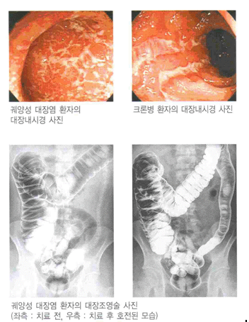 대한장연구학회